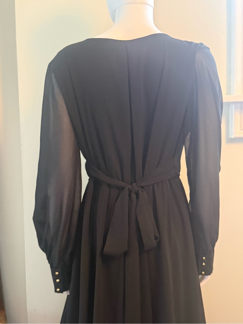 Baltic Born Black Long Sleeve V-Neck Chiffon Maxi Gown - Picture 10 of 14